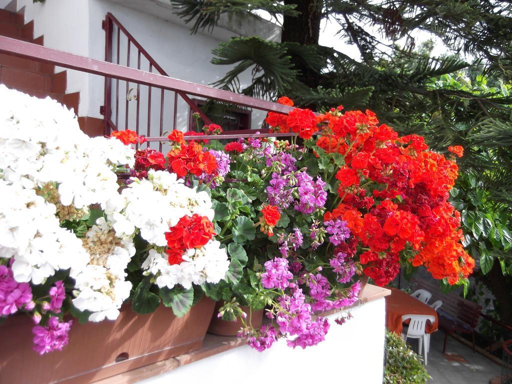 Villa Casavacanzeinsicilia Etna Taormina Piedimonte Etneo Zimmer foto