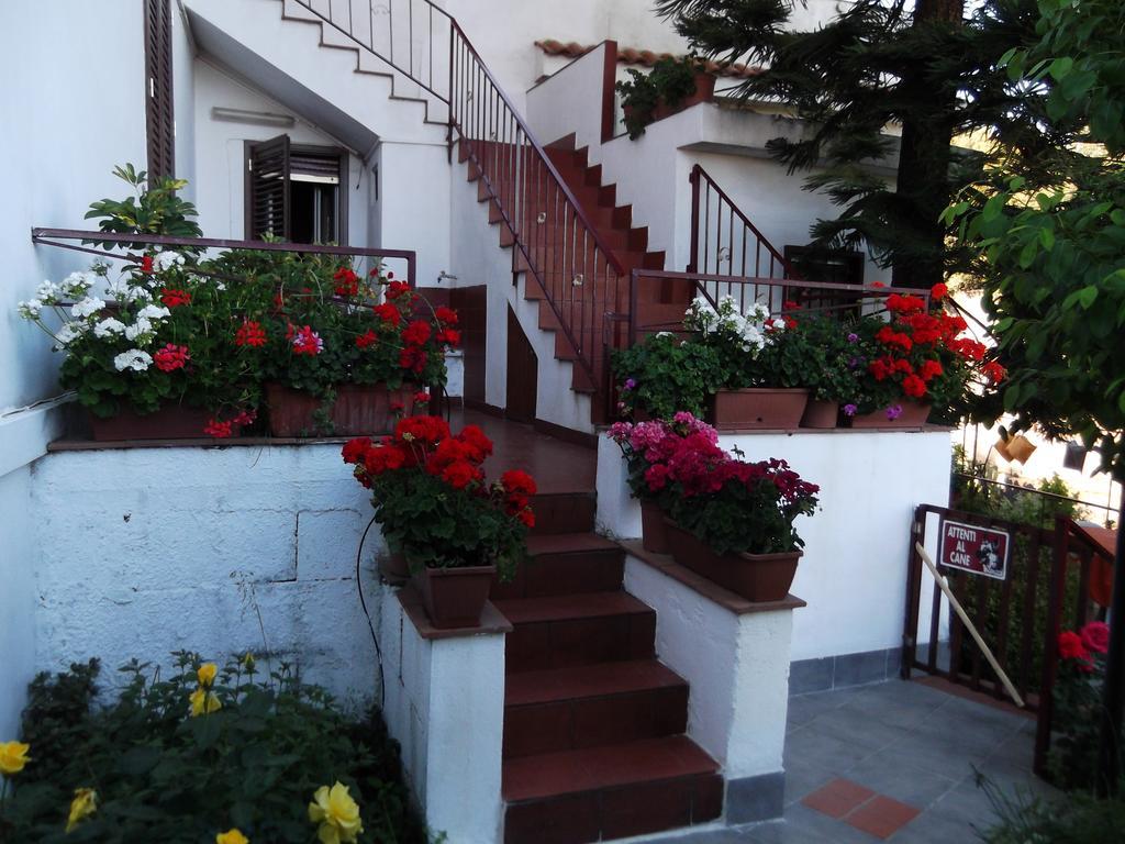 Villa Casavacanzeinsicilia Etna Taormina Piedimonte Etneo Exterior foto